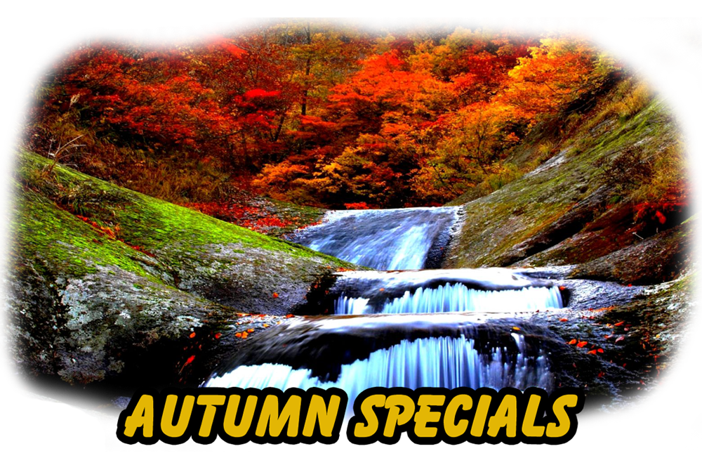 Dunvegan, Ontario - Autumn Specials on Iron Filters, Sulphur Filters, High Efficiency Water Softeners and Reverse Osmosis Purification.