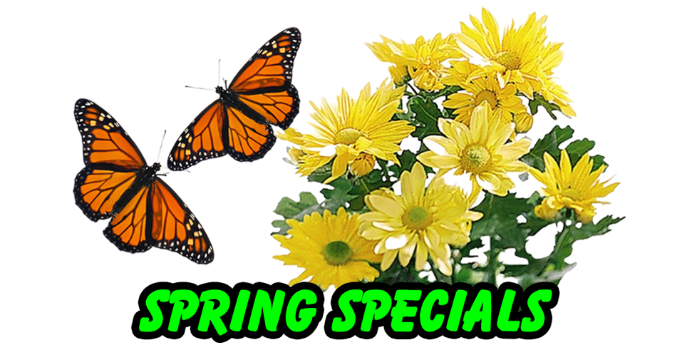 Morrisburg, Ontario - Spring Specials on Iron Filters, Sulphur Filters, High Efficiency Water Softeners and Reverse Osmosis Purification.