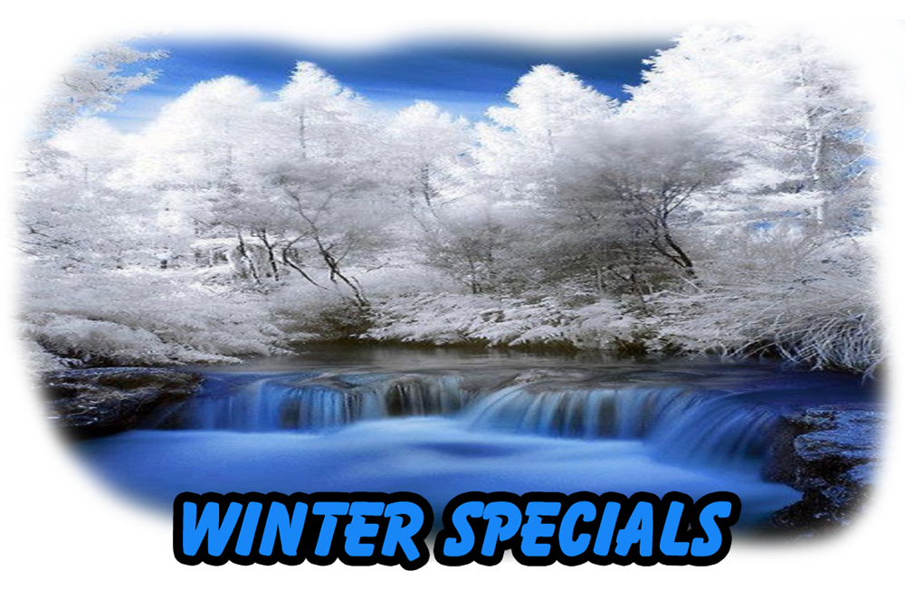  Winter Specials on Iron Filters, Sulphur Filters, High Efficiency Water Softeners and Reverse Osmosis Purification.